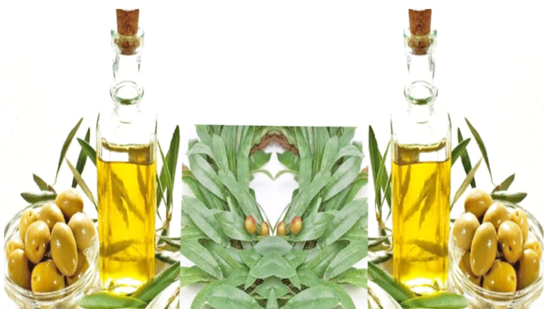 Как выбирать , как хранить масло из оливок